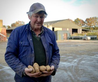 Aardappelen gebroeders Raeymaekers